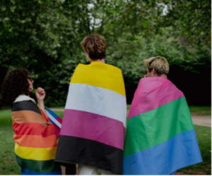 inclusive flags inclusive flags